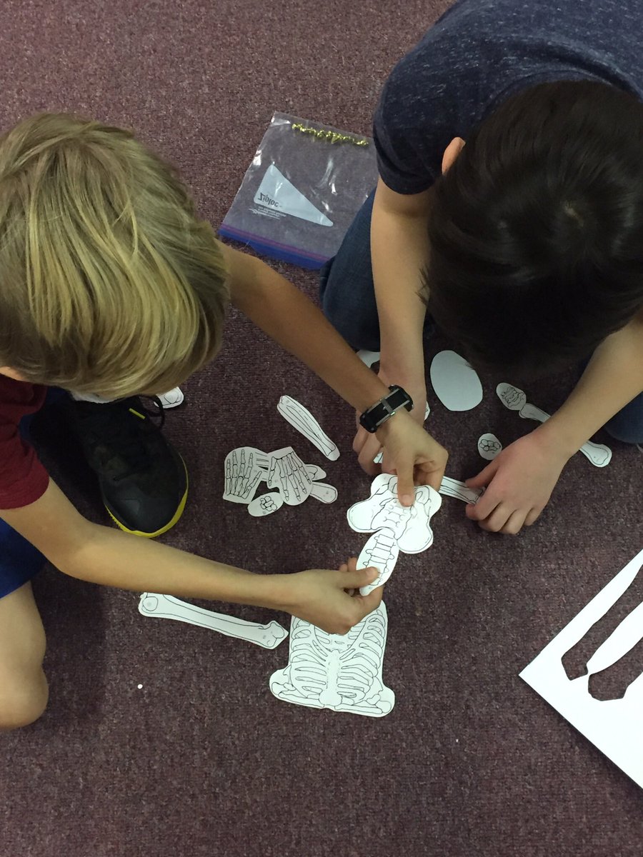 MrsWomble3rd's tweet photo. We've been learning about BONES this week- we made our own skeletons with @VelasPerryHarri class and today we dissected owl pellets and found the bones of small animals that the owl had eaten! #allkidscan @PHSmariners https://t.co/gg9Co2Ehve