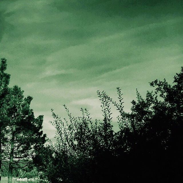 georgeafeed's tweet photo. Emerald Bay, 2016
.
.
.
.
.
#vsco #Tahoe #California #dark #forest #woods #shadows #nature #green #trees #lake #photography #laketahoe #environment #landscape #naturephotography #field #mountains #treeshots #naturecaptures #Nastymagazine #Somewheremagaziโฆ https://t.co/4oerU3fG1M https://t.co/TysVCLdl2S