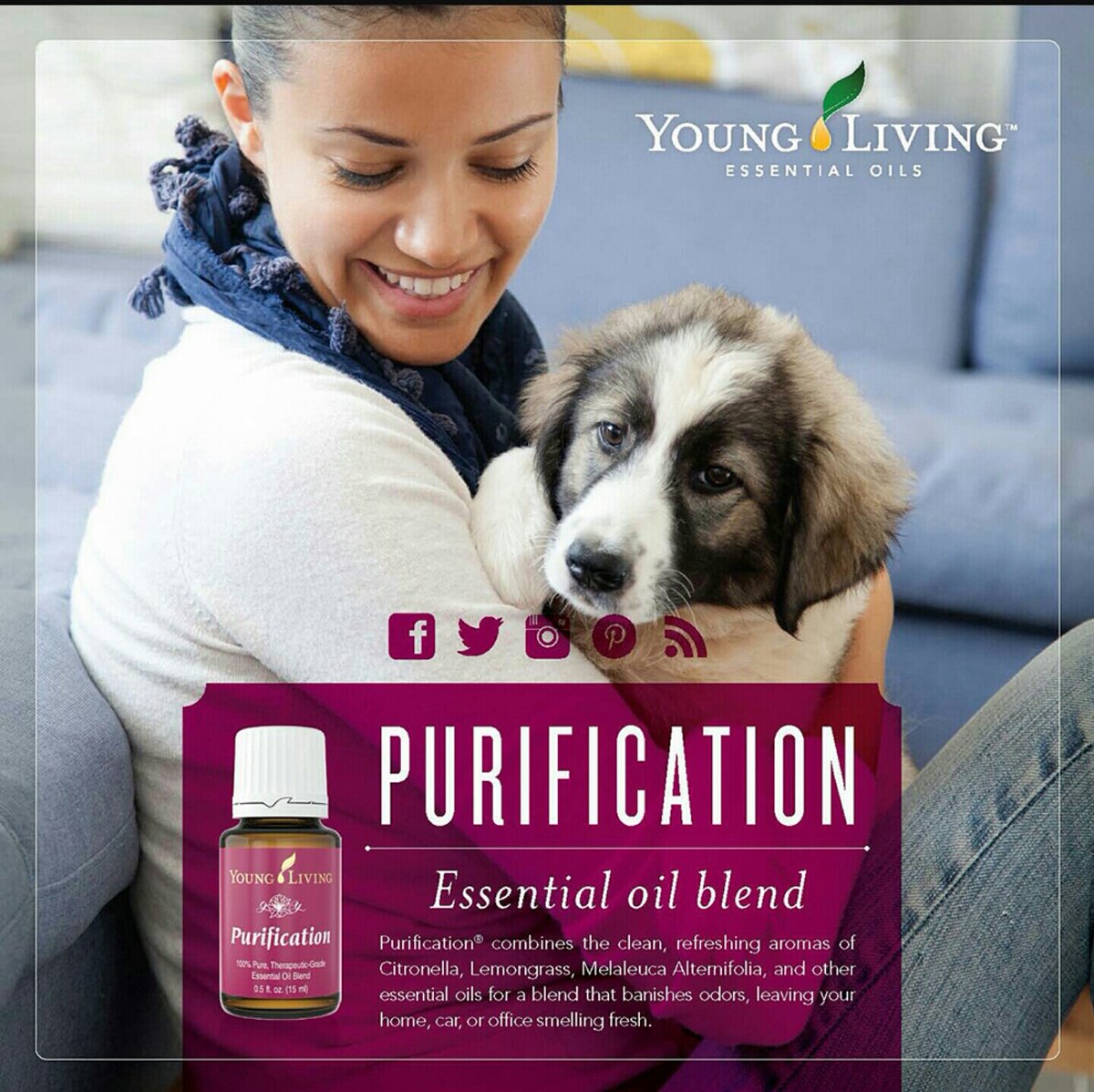 theoilyeffect's tweet photo. This is an everyday oil for me.  How about you?  https://t.co/jE4AmE4p2l https://t.co/iTmSyDDuNy