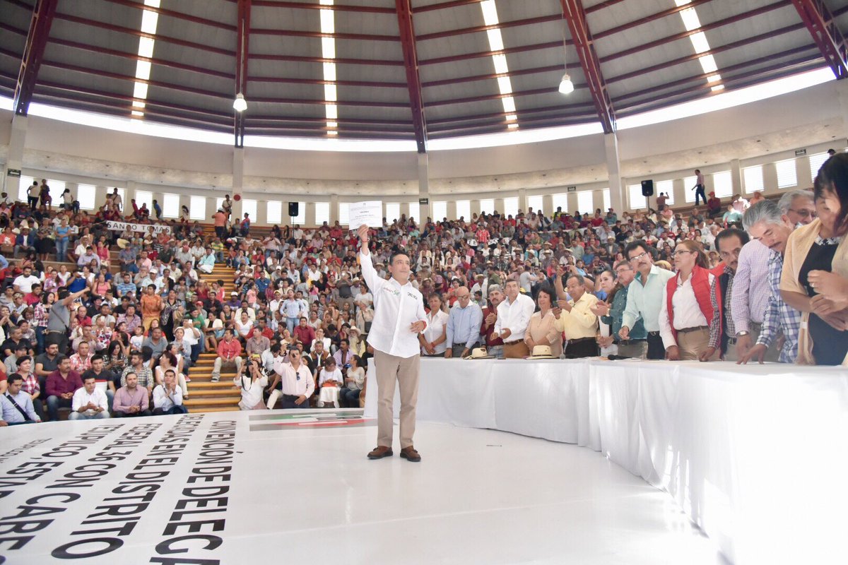 cruz_roa's tweet photo. Agradezco a las y los delegados del #PRI por darme su confianza para ser su precandidato por el Distrito Federal 36 de Tejupilco .#PorAmorAlSur https://t.co/5FgwuMh4SA