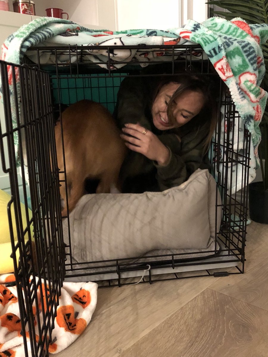 laurDIY's tweet photo. new roommates https://t.co/W6boEU3rKq