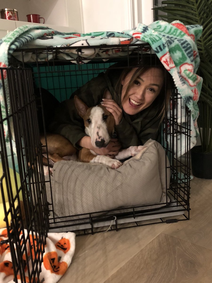 laurDIY's tweet photo. new roommates https://t.co/W6boEU3rKq