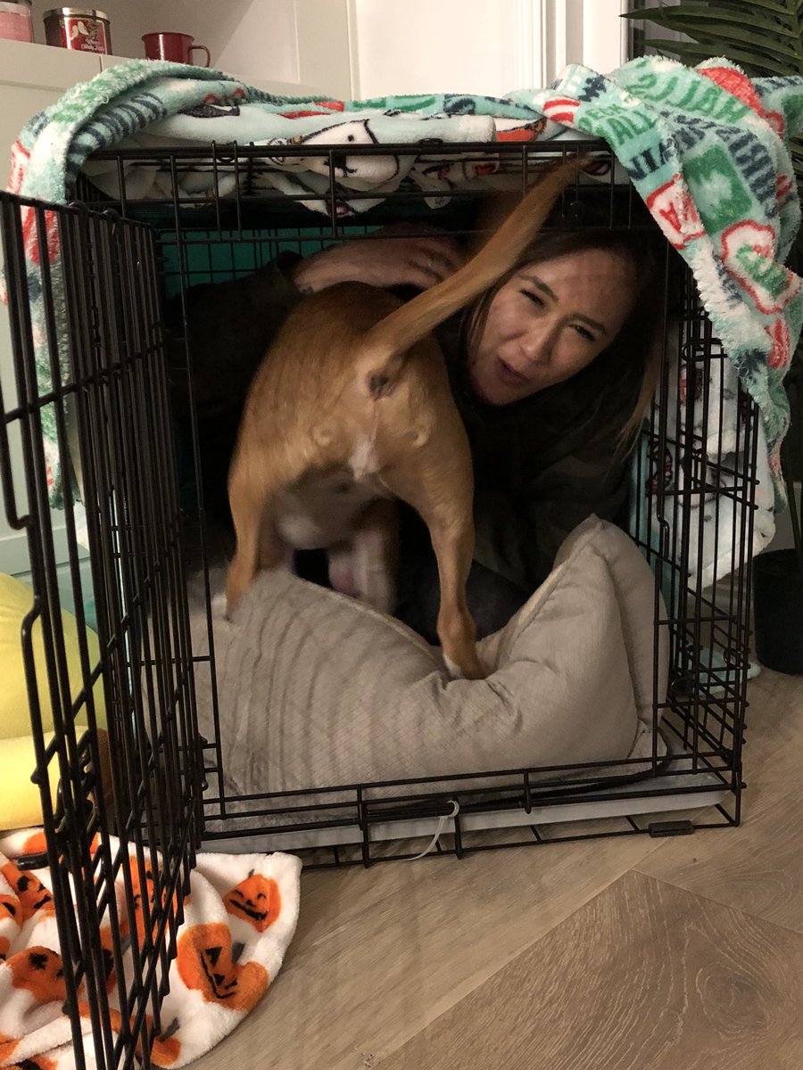 laurDIY's tweet photo. new roommates https://t.co/W6boEU3rKq
