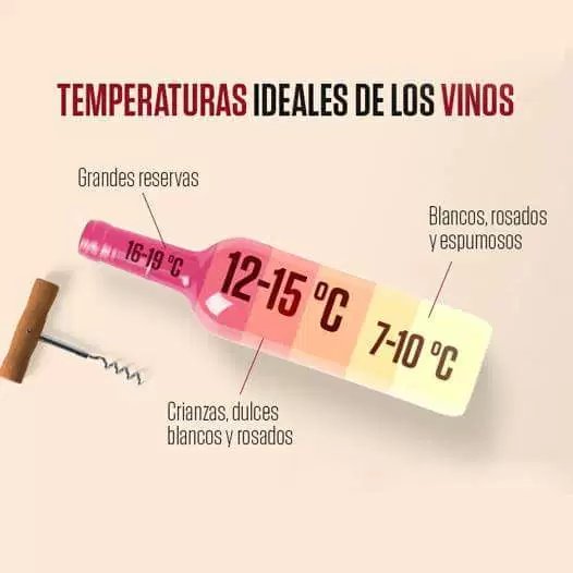 Curiosidades del #Vino