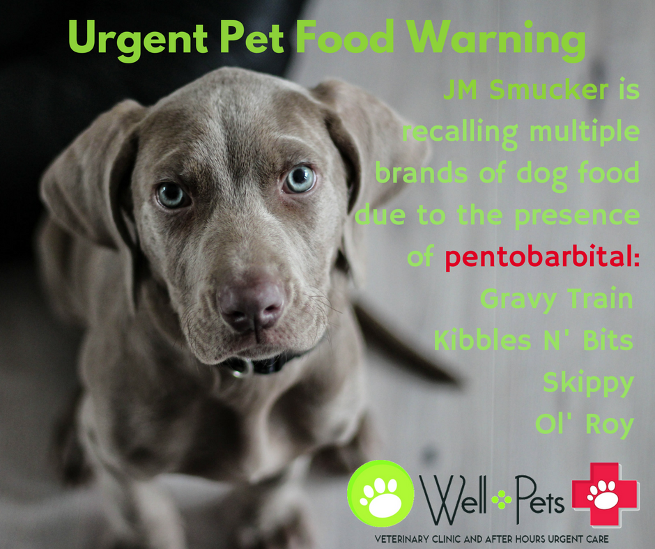 ol roy kibbles and bits