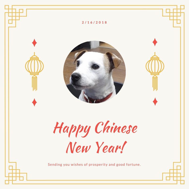 CYGrowers's tweet photo. We had to inform Wallace that it's the year of the DOG, not the year of Wallace. He's excited regardless. Happy lunar new year to everyone celebrating! #cygrowers #wallace #chinesenewyear #lunarnewyear #yearofthedog #dog https://t.co/kK8q8ZUWW2