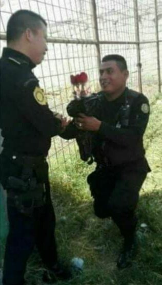 tornilloshow's tweet photo. Bendito dia de #diadesanvalentin https://t.co/NHYqAk3X9Q