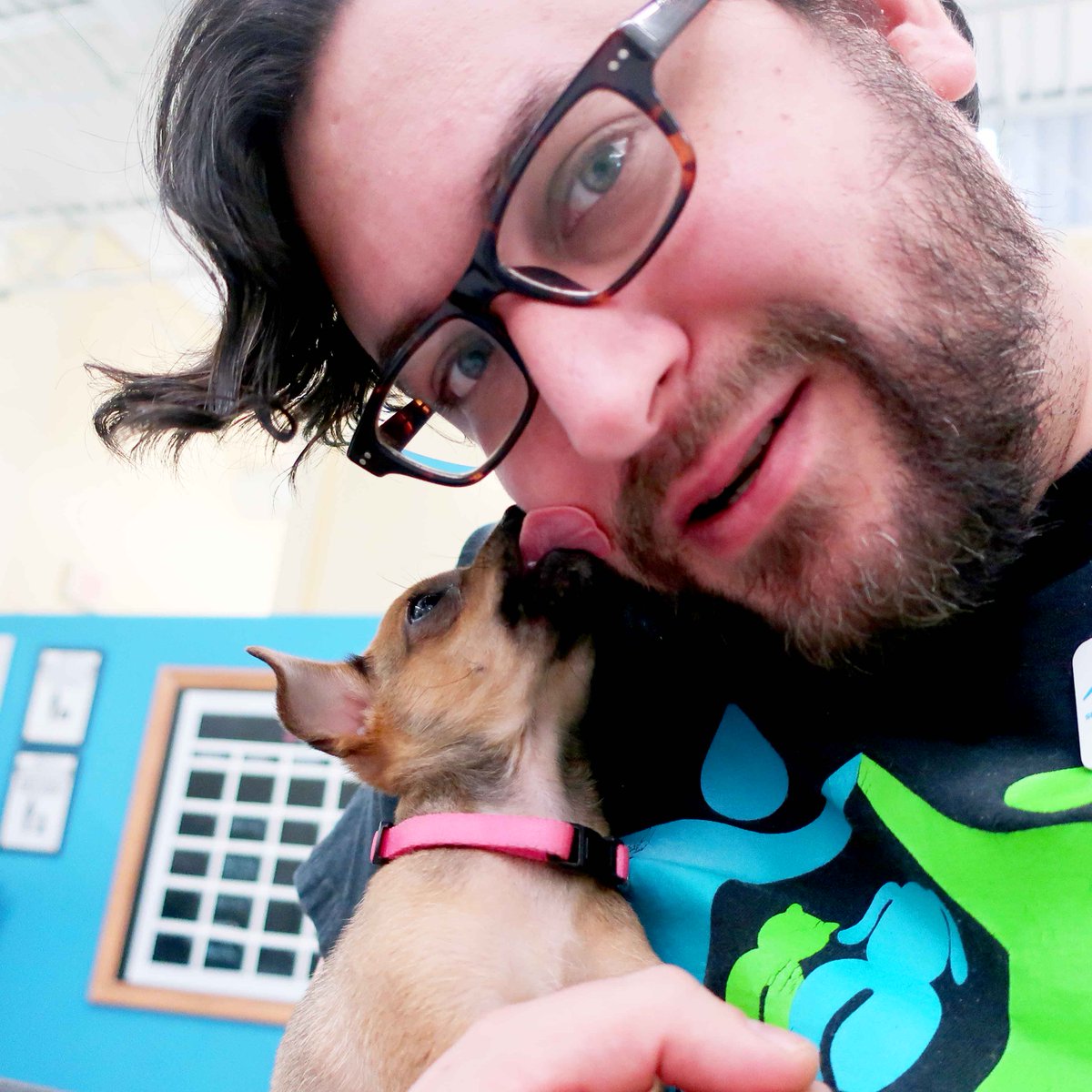 prckcmo's tweet photo. Sometimes even a social media coordinator needs some puppy kisses. #snkc #puppy #puppykisses https://t.co/NG0FsKwMpN