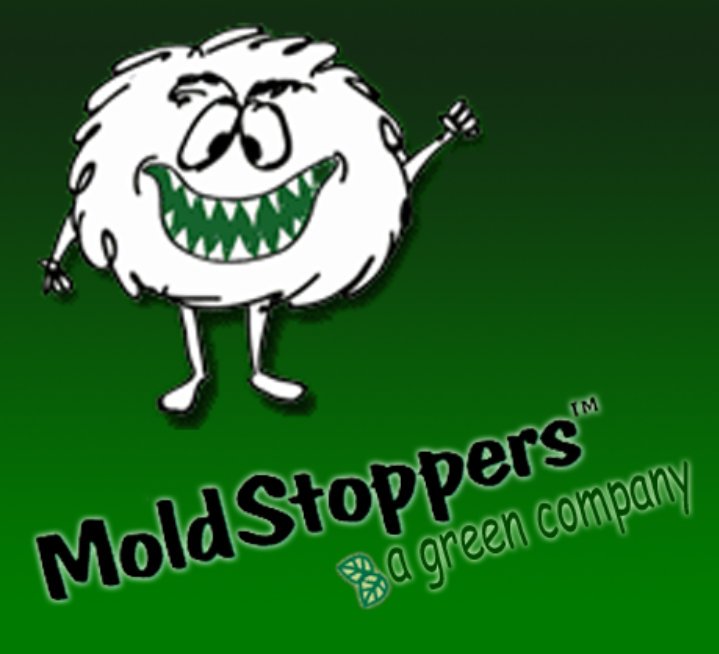 We are looking for motivated people to run another office in northern Virginia. If you a or you know some one have them contact us. moldstoppersonline.com