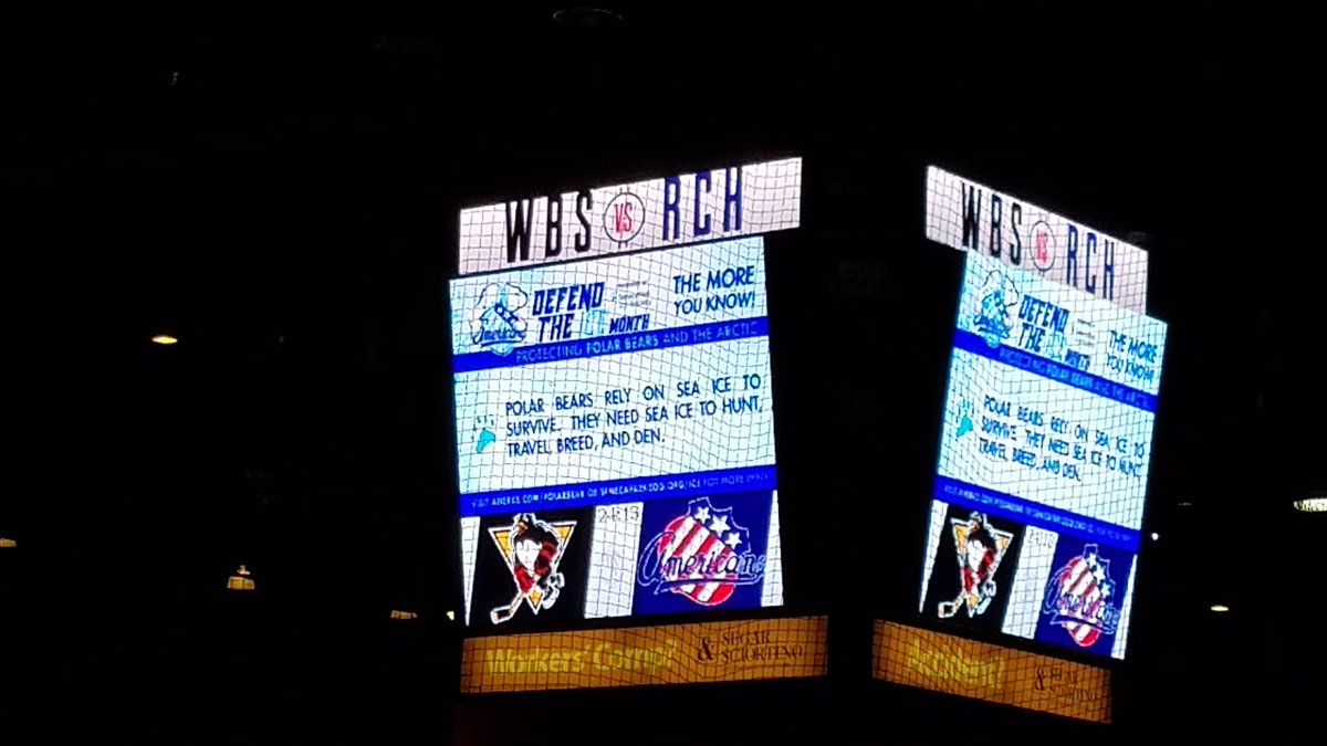 SPZConserve's tweet photo. Dropping #PolarBear #conservation knowledge and raising money for @PolarBears at @AmerksHockey game tonight in #ROC WITH @SenecaParkZoo https://t.co/9Ade17y4Af