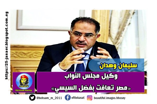 سليمان وهدان وكيل مجلس النواب «مصر تعافت بفضل السيسي»