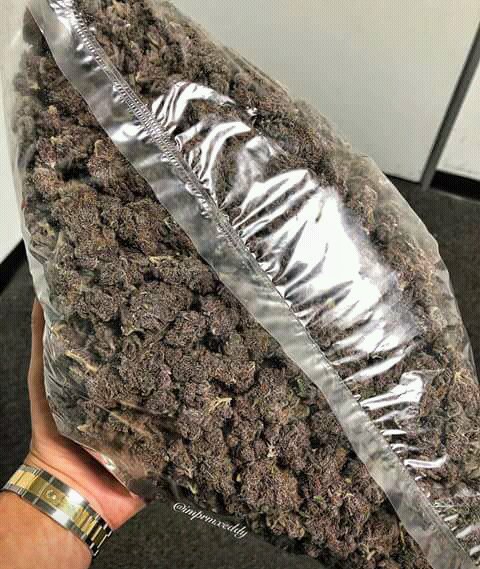 Michael52465902's tweet photo. Dang...
Dm if you need this package

#WEEDSTOCKS  #Growweed #FuckGovnment https://t.co/Z3sRHMwB1R