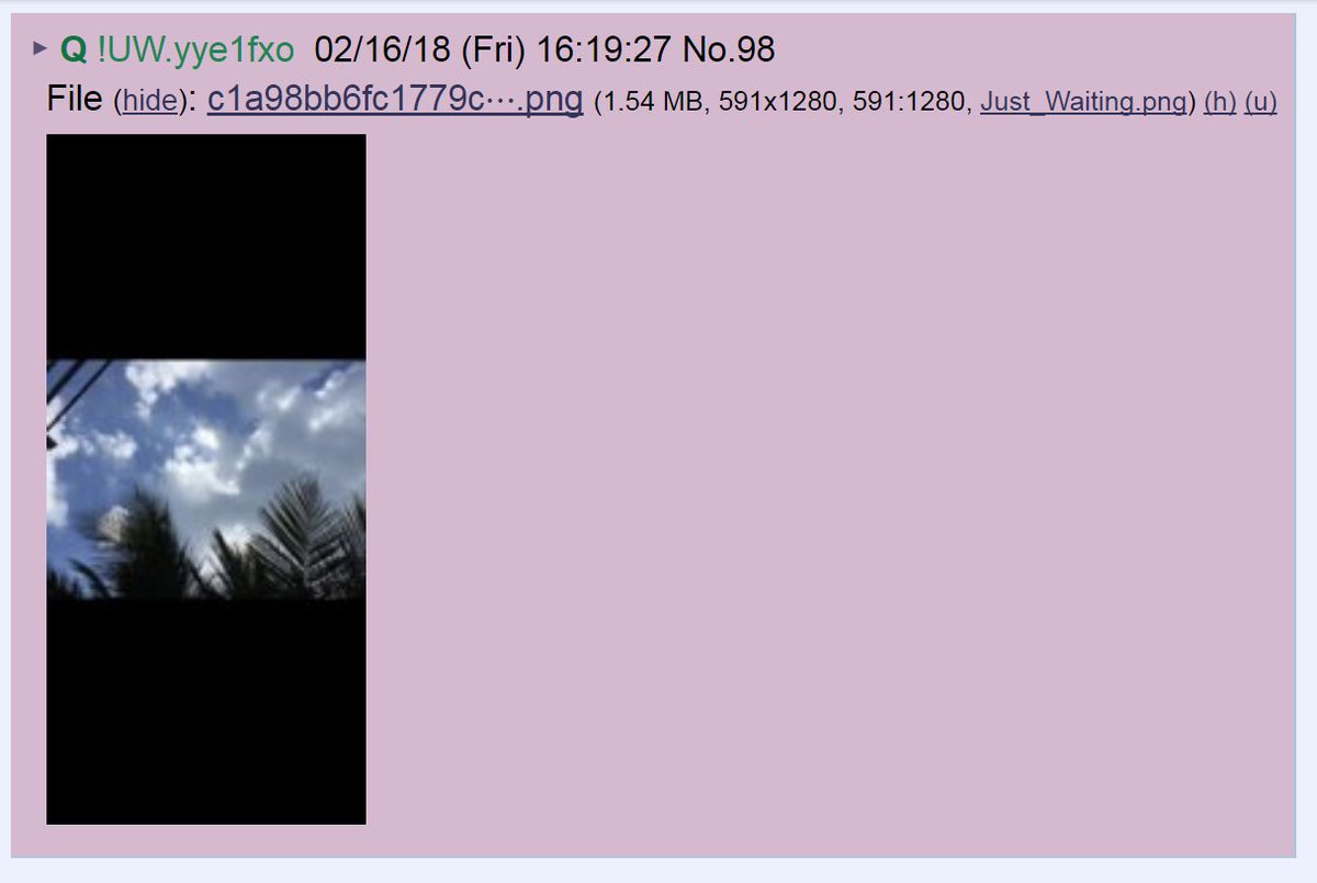 Q told us on Feb 16 something was coming today