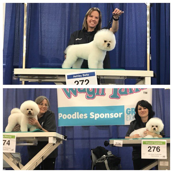 Looking great, and ready for judging! #teampetsmart #GroomExpoWest 👍🏻