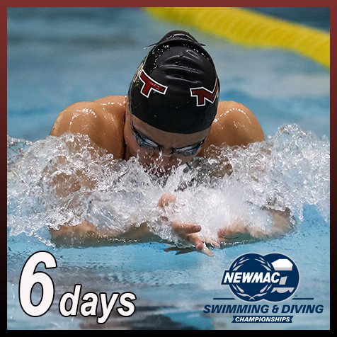 MITSwimDive's tweet photo. Only 🌟SIX DAYS🌟 until the start of NEWMACs!!! #RollTech #NEWMAC2018 #MITswimdive https://t.co/0fAx3dKMik