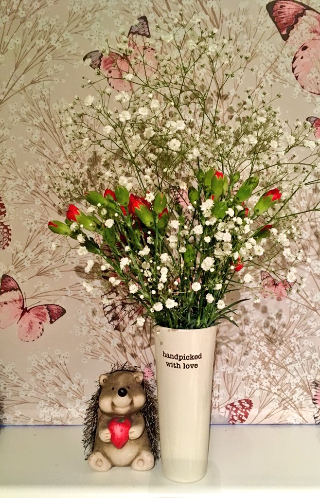 4theloveofhogs's tweet photo. Have a lovely #weekend all my #TwitterFriends, from us all at the #hedgehogRescue #pricklypals #hedgehogs #hearts #love #flowers #white #red #carnations #happyfeeling #happy #smile #giftfrommetome #frommetomyself πππ https://t.co/iojleB3Mgh