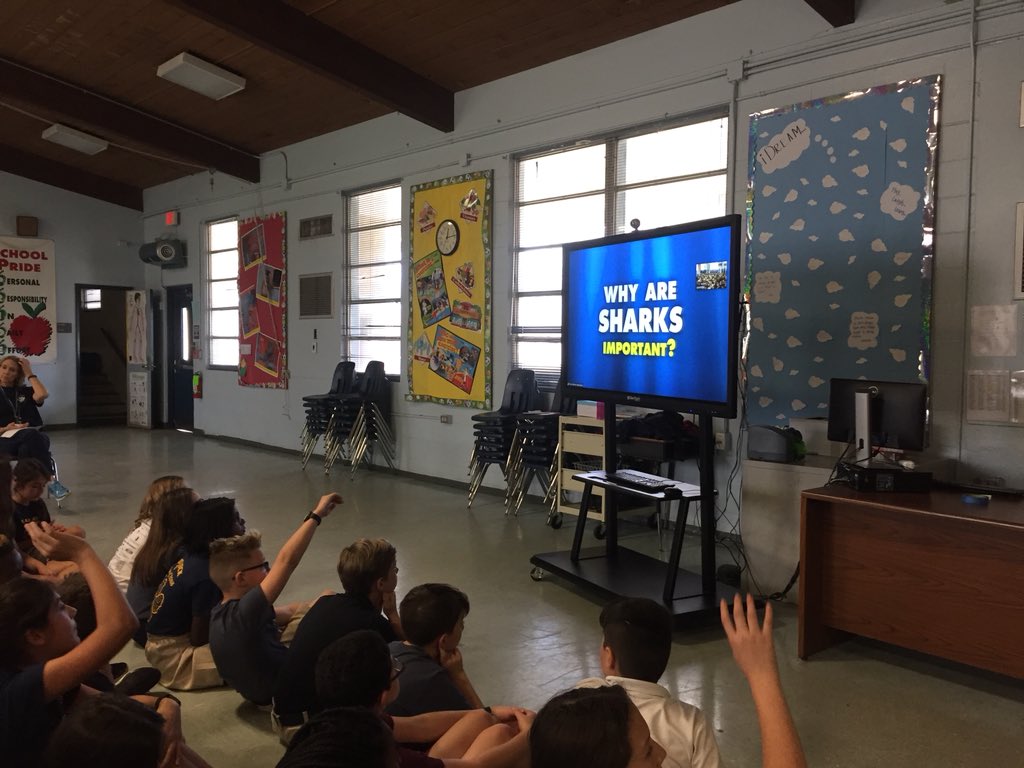 DrNHJones's tweet photo. 5th grader’s learning about Sharks Alive with @seatrek ! Synchronized an amazing virtual field trip during our STEAMspiration Day! @Grantham_Greats #FullSTEAMAhead https://t.co/MaOWDJMljs