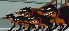 mrcryptocreep's tweet photo. @PhilakoneCrypto My beautiful hounds https://t.co/xA8cyS88kT