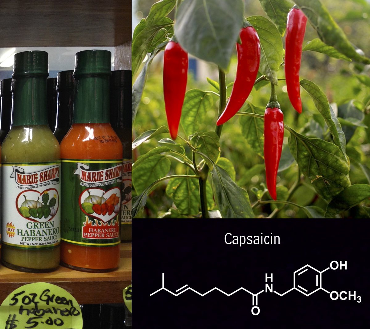 shop Einführung in die Mikroökonomik: Gütermärkte, Faktormärkte und die Rolle