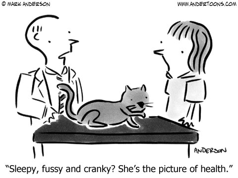 Does this sound like your #cat?