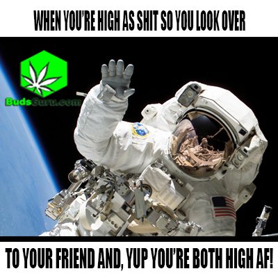 budsguru's tweet photo. https://t.co/yFzhAVveqt