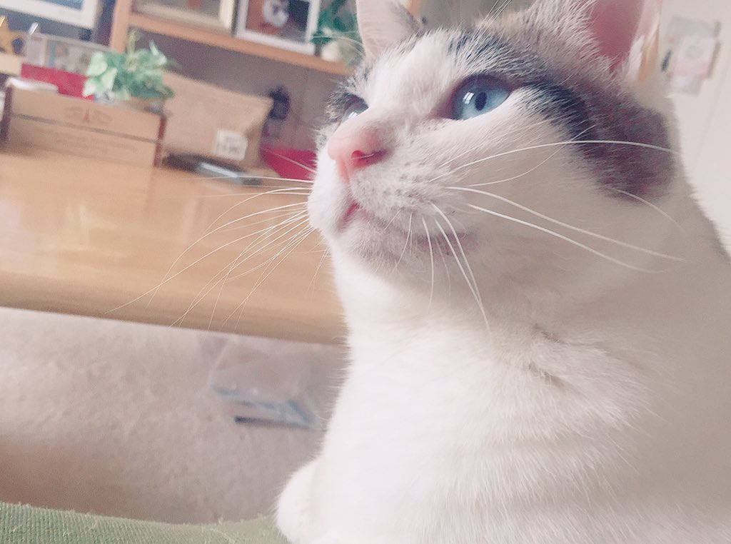 宇野くん羽生くんおめでとうだね！
