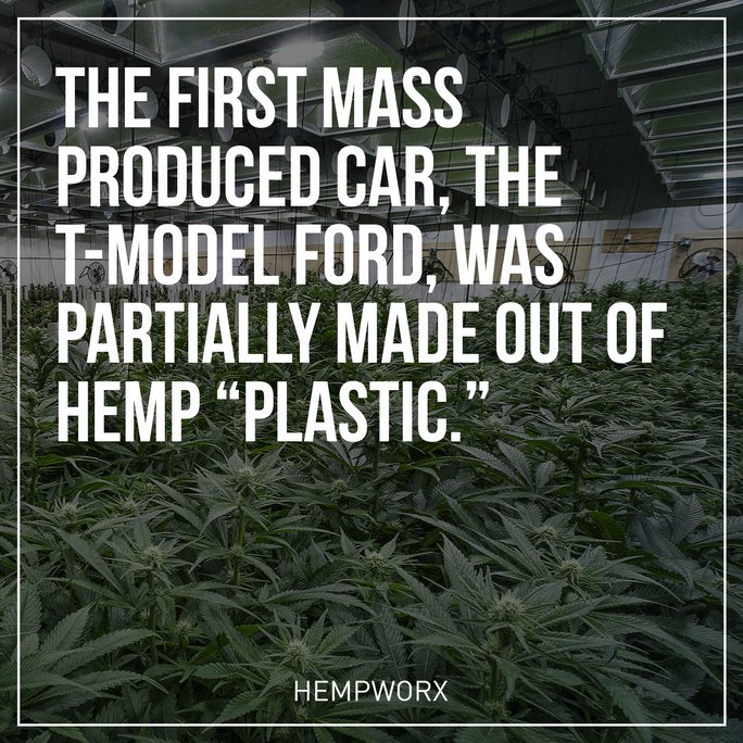 SplashOfCBD's tweet photo. Hemp and cannabis are amazing plants no matter how you look at them, it's sad there is such a negative stigma around them!

https://t.co/62nAObE4gl https://t.co/qNOV8uBrDb