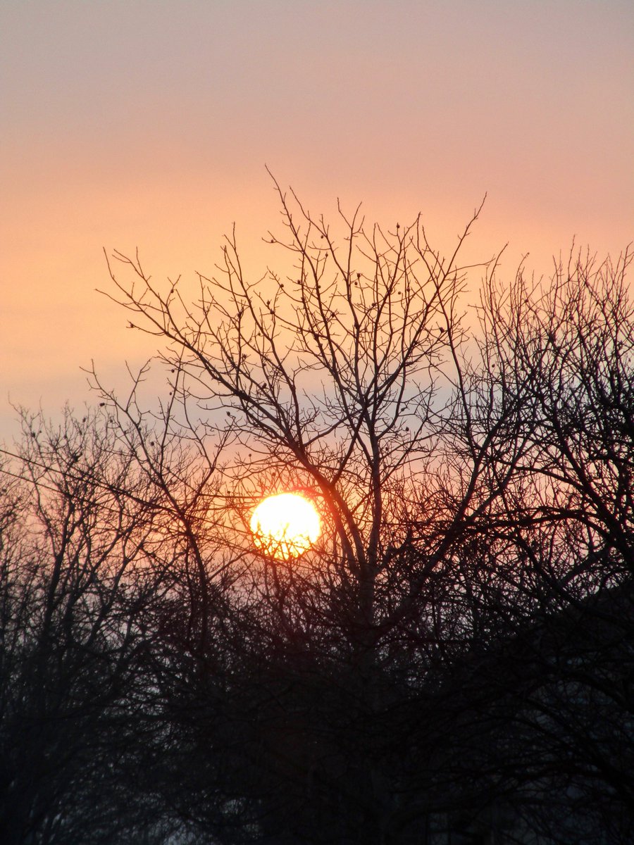 carolineharte2's tweet photo. Golden Dawn this morning...
https://t.co/cmvX03xjEr   
#bulgaria#lavenderlodge#naturenurture#sunrise#skies https://t.co/5HjVzO4ycD