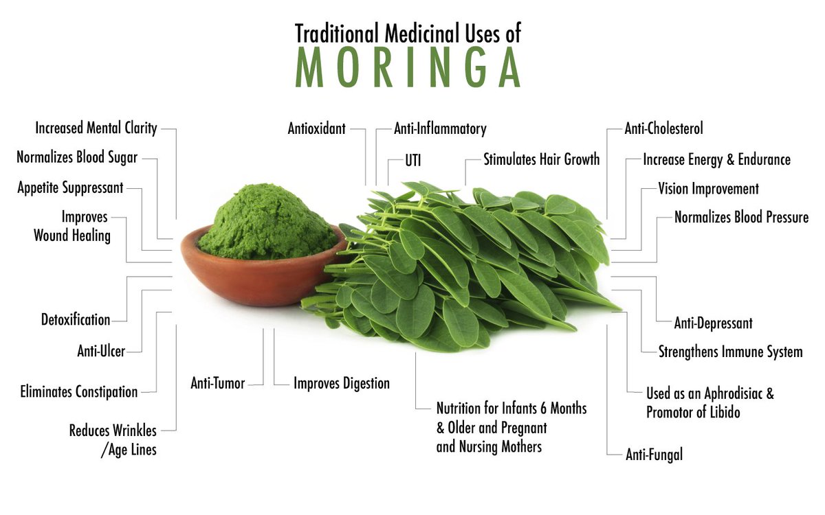 dnp2001's tweet photo. The leaves of #Moringa are natureโs best #antioxidant & #multivitamin providing
7 x #Vit_C of oranges
4 x #calcium in milk
4 x #Vit_A of Carrots
3 x #potassium of Bananas
2 x #protein of yogurt
It is an excellent source of nutrition & non-sugar based #energy_booster https://t.co/AFi9M5obPT