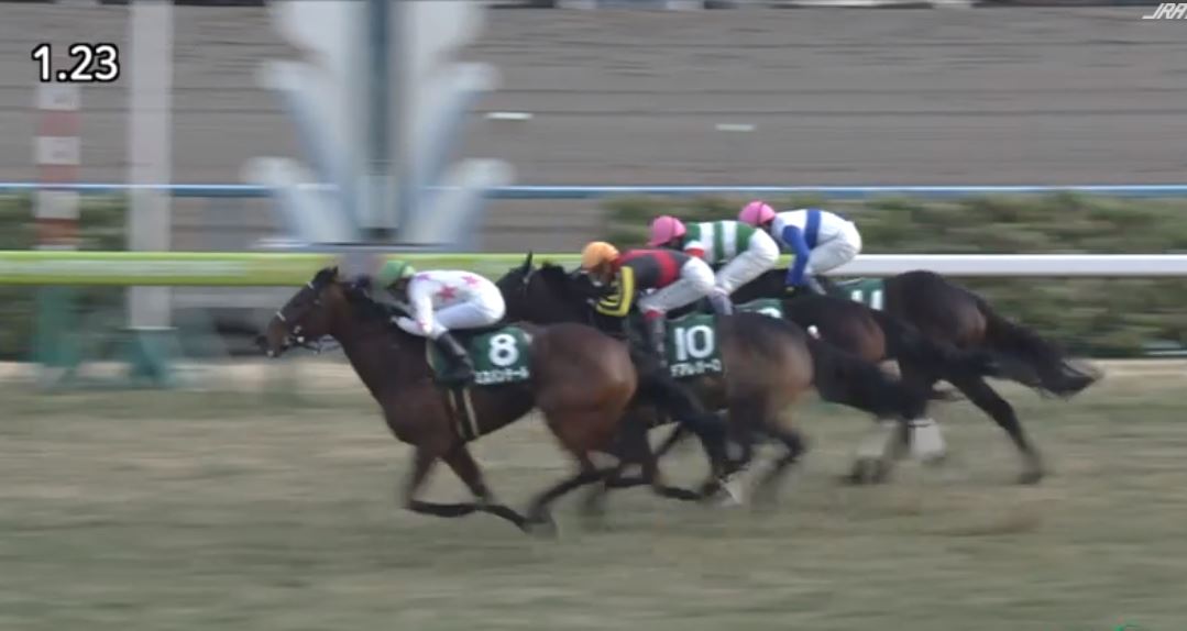 LongBallToNoOne's tweet photo. The Championships (Queen Of The Turf) nom'd 4f MISS PANTHERE (Daiwa Major) won the G3 1400m Kyoto Himba Stakes in very impressive style. 

Take her to Sydney! 
Fit and well she's #winning #goodfilly https://t.co/oT6TnZsufq