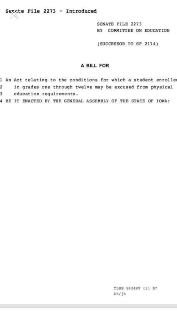 TaraStemsrud's tweet image. #physed #pegeeks We need some rallying in IA ASAP! This is scary!! @DMPSPE @DMschools @IASenateGOP Don’t give into this legislation we WILL be hurting our Ss! Come to my school &amp;amp; see quality PE &amp;amp; know we don’t roll out a ball! SF2273