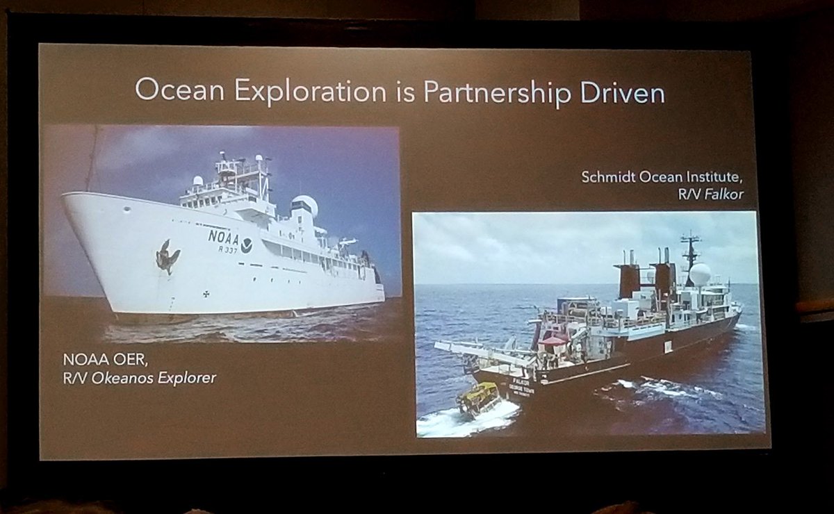 SchmidtOcean's tweet photo. At #OSM18, @CordesLab presenting "Just what is the Phoenix Islands Protected Area protecting?" https://t.co/sW5xRUKBNE
 @Phoenix_Islands @TempleUniv @BU_Tweets
@BUexperts @HarvardResearch @oceanexplorer #OSM2018 https://t.co/zp7CRlJl8r