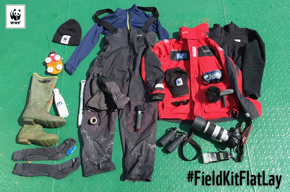 WWF_Australia's tweet photo. Check out this #FieldKitFlatLay from Chris Johnson, who was studying minke whales in the Antarctic.
While travelling on the boat in their long search for #whales, the air temperature was -10ΛC! π³β #WorldWhaleDay https://t.co/QHxfmiFgXE
