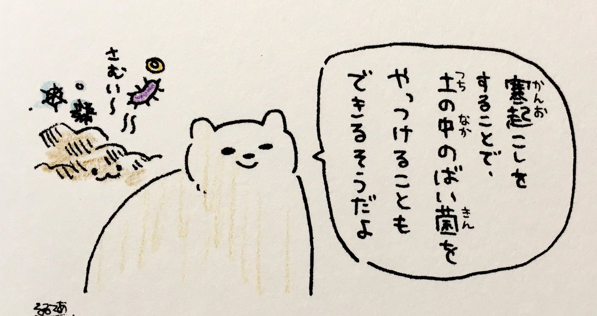 教えてくれるタイプのシロクマさん 