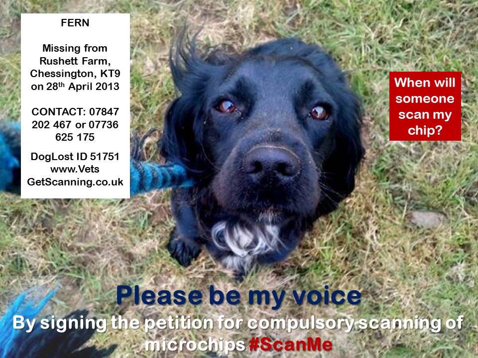 Mollie the Pug tweet media