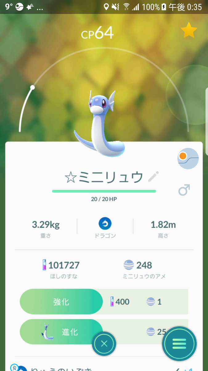 しーば Shiba No Twitter 期間中に手持ちの高個体ミニリュウやハクリューを進化させるのは試す価値ありますね 自分のミニリュウ100はcpが絶望的ですが W ｶﾞｸﾌﾞﾙ W アメは248あるので 3回は試せるかな