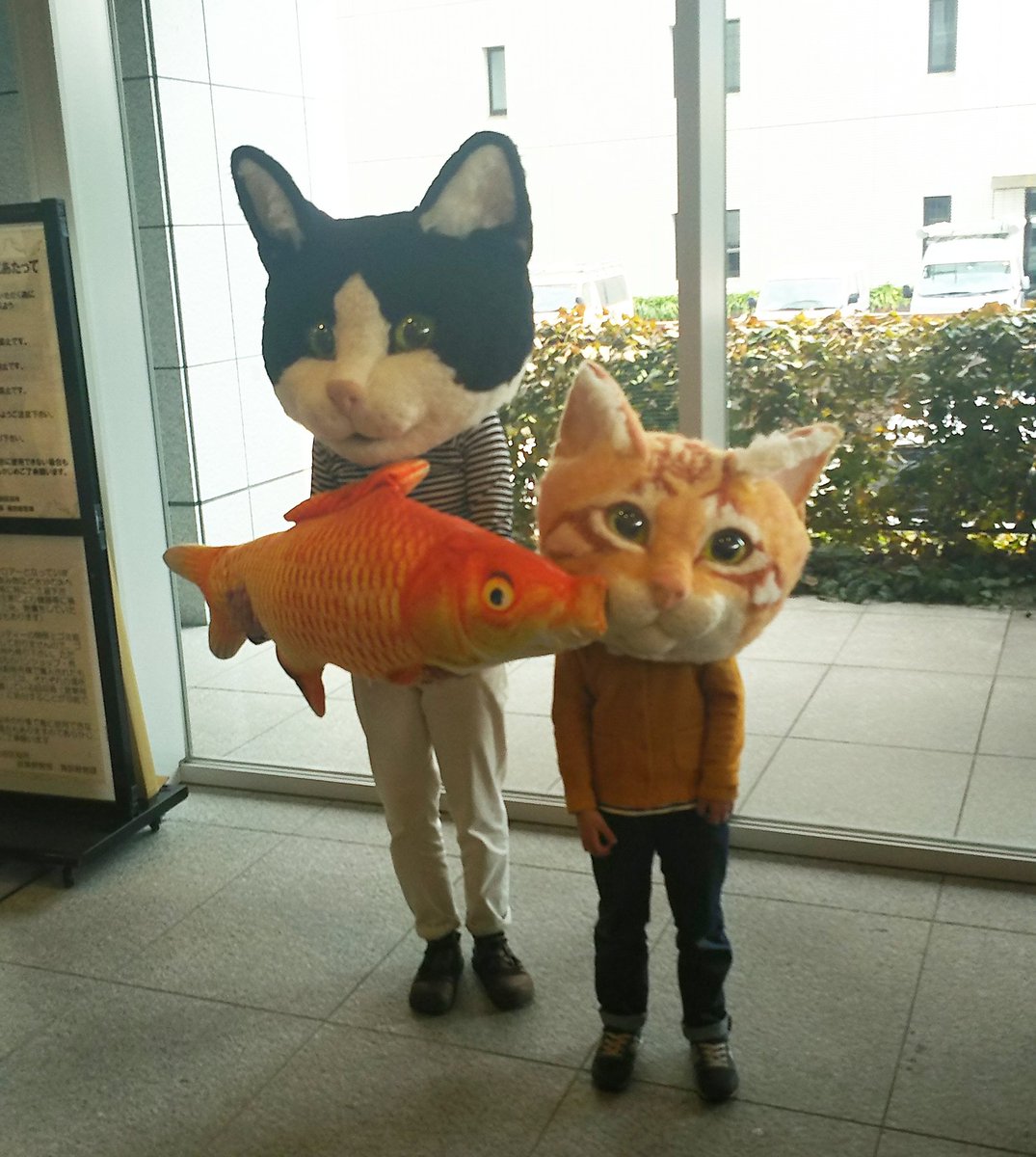 ちよだ猫まつりに参加しました