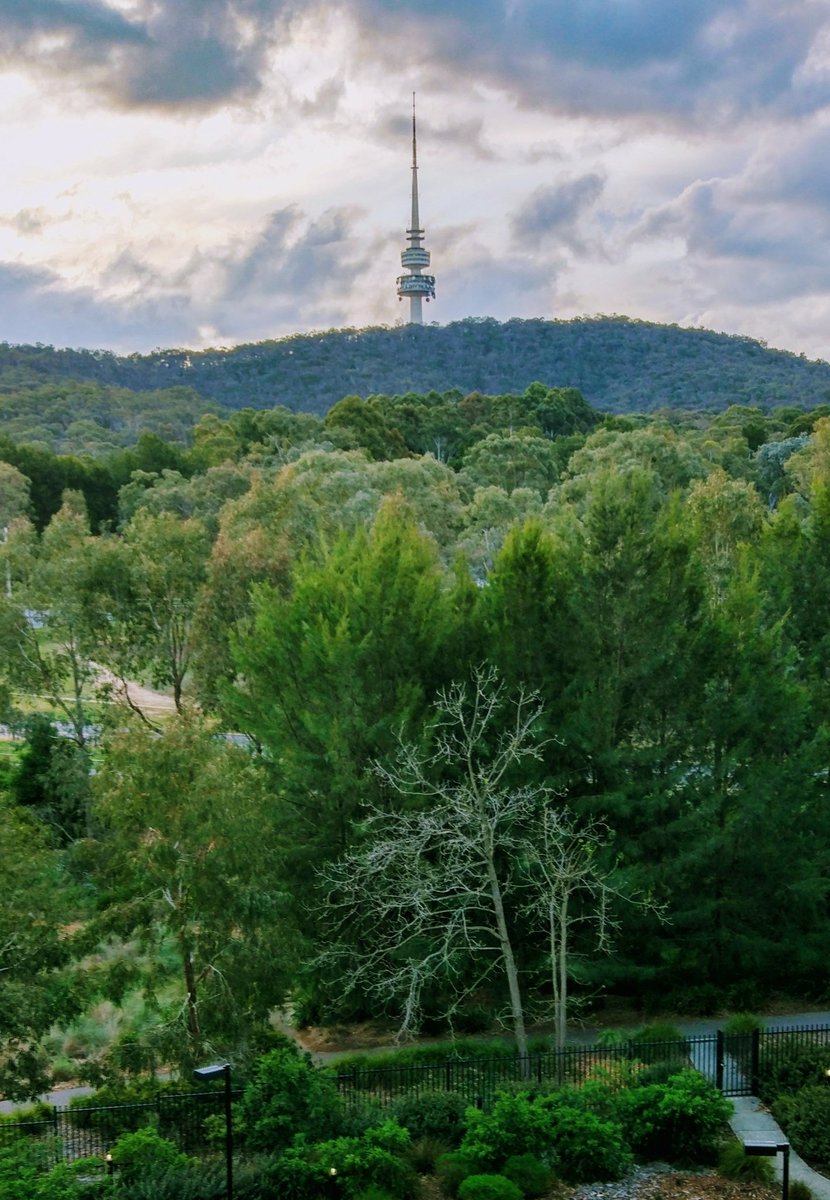 Abu_Abrm's tweet photo. Came here exactly a year ago! :) #Canberra #ANU https://t.co/u8dbazyheT