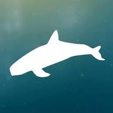 greenpeacemx's tweet photo. Mañana 17 de febrero 10am, te esperamos en el Museo Tamayo para la "Procesión en honor de la vaquita marina". ¡Arte y conservación por la vaquita! 

Más información en https://t.co/RDuDR5p3Bl ¡Difunde! https://t.co/T8CJpBdWQy