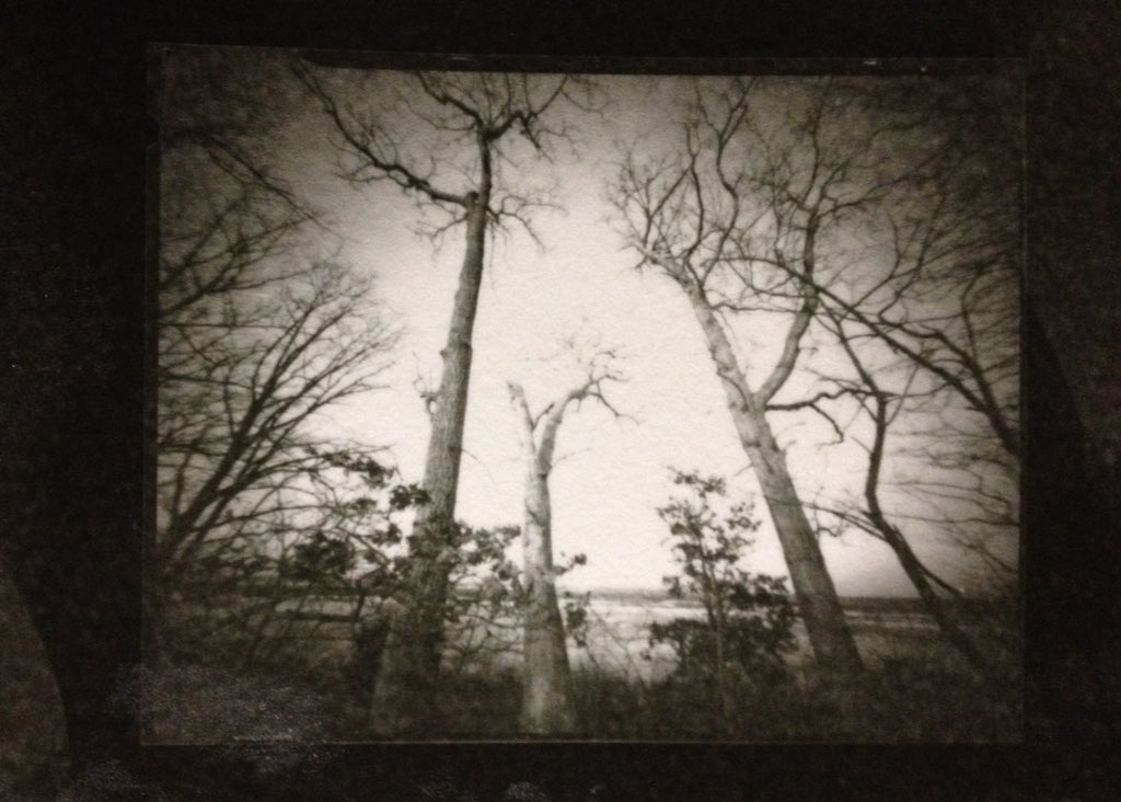 JoeCCunningham's tweet photo. Second night in a row doing contact prints. #FlickOn #FlickOff #pinhole #Ilford https://t.co/dGkPK56A76