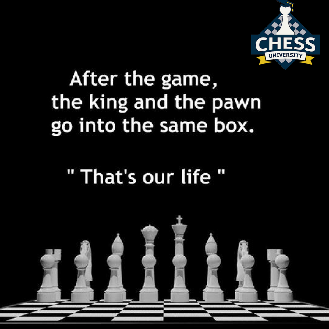 There are no take-backs—just as in life. You must think before you move. Susan Polgar #ChessUniversityOnline #LearnChess #KairavJoshi #Quotes #win #Chessgame #mindgame #boardgame #chessquotes #takebacks