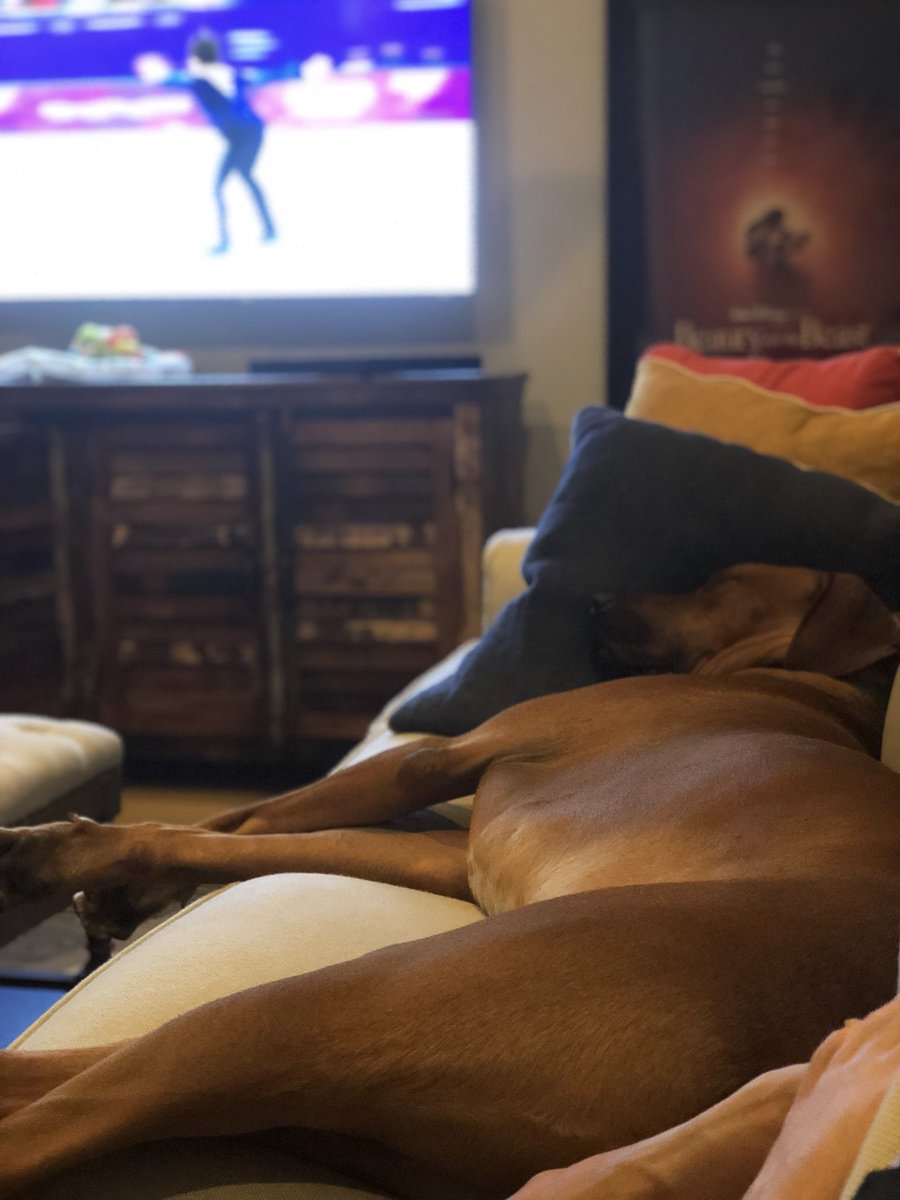 amsayson's tweet image. When you want to see who wins, but it’s way past your bedtime #thestruggle #olympicproblems