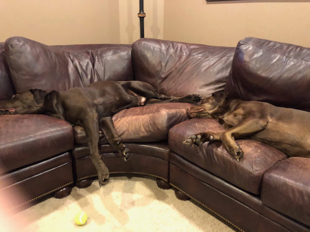 sshellen01's tweet image. Does it get any better?  The other members of our family need to be good as well !