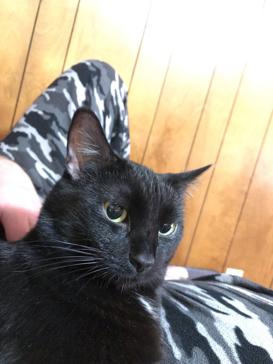 halincath's tweet image. She’s not really so pretty. Don’t you think guys? She just fine... :)