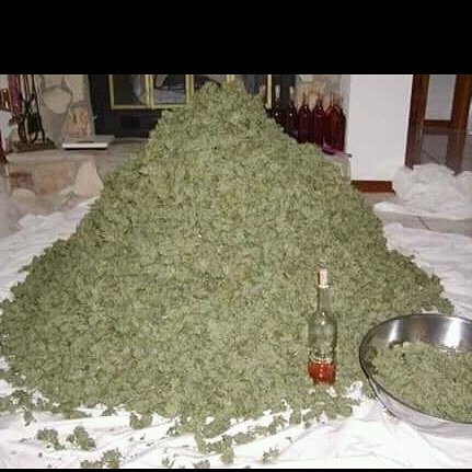 Michael52465902's tweet photo. Lovely.. You might want to have some..dm
#WEEDSTOCKS #RufflesCelebGame #weedcontrol #Cannabis #Marijuana #Somehigh https://t.co/Nwegx6F1Hx