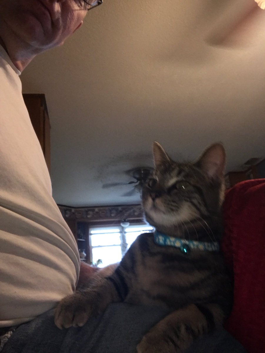 jaydennnn23's tweet photo. dad // Bug https://t.co/3RXOXTZpPw