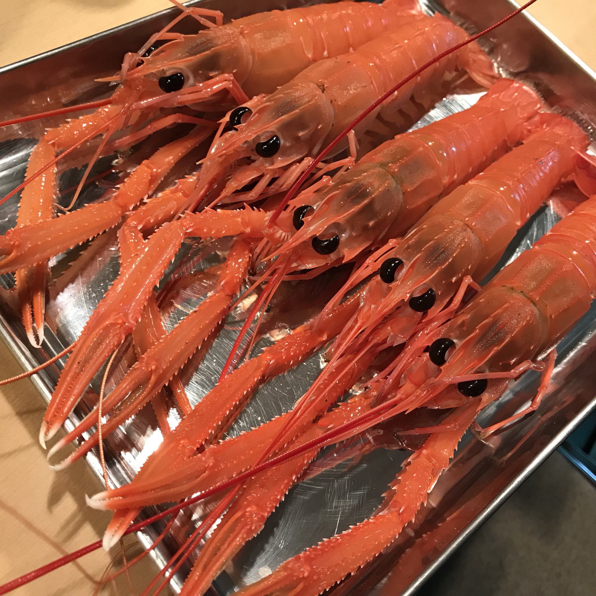 鮨 Enji 本日のおススメ アカザエビ Japanese Lobster From 横須賀市長井 地物 Nagai Yokosuka Local この辺りでは長井でしか獲れない貴重なエビです 是非ご賞味くださいませ 本日も皆様のご来店心よりお待ちしております 手長海老とは違います 鮨 Enji 本日のおススメ アカザエビ Japanese Lobster From 横須賀市長井 地物 Nagai Yokosuka Local この辺りでは長井でしか獲れない貴重なエビです 是非ご賞味くださいませ 本日も皆様のご来店心よりお待ちしております 手長海老とは違います