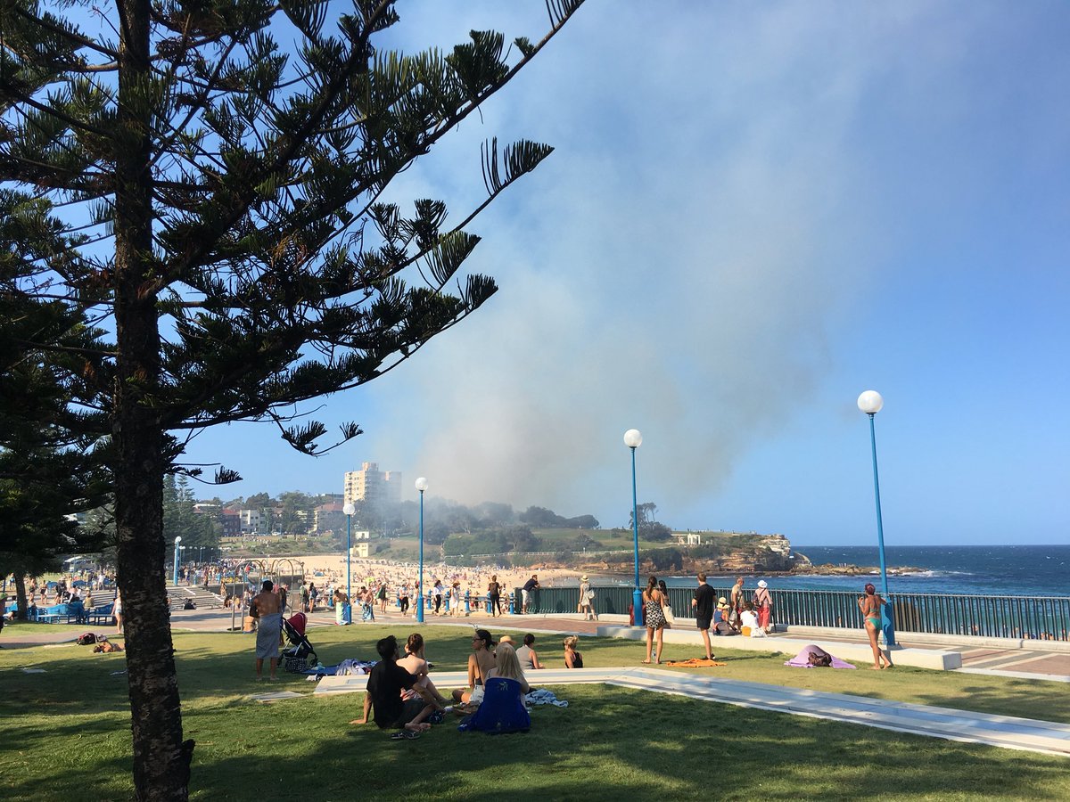 RushPathak's tweet image. #coogee #fire @nswfire