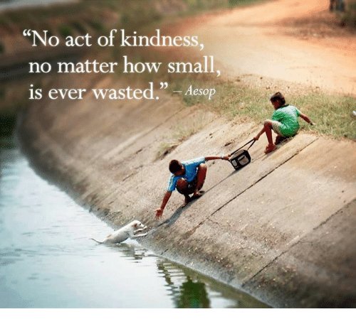 riawalsh17's tweet photo. #RandomActsOfKindnessDay 💜😁 https://t.co/F3H7sE8o2d