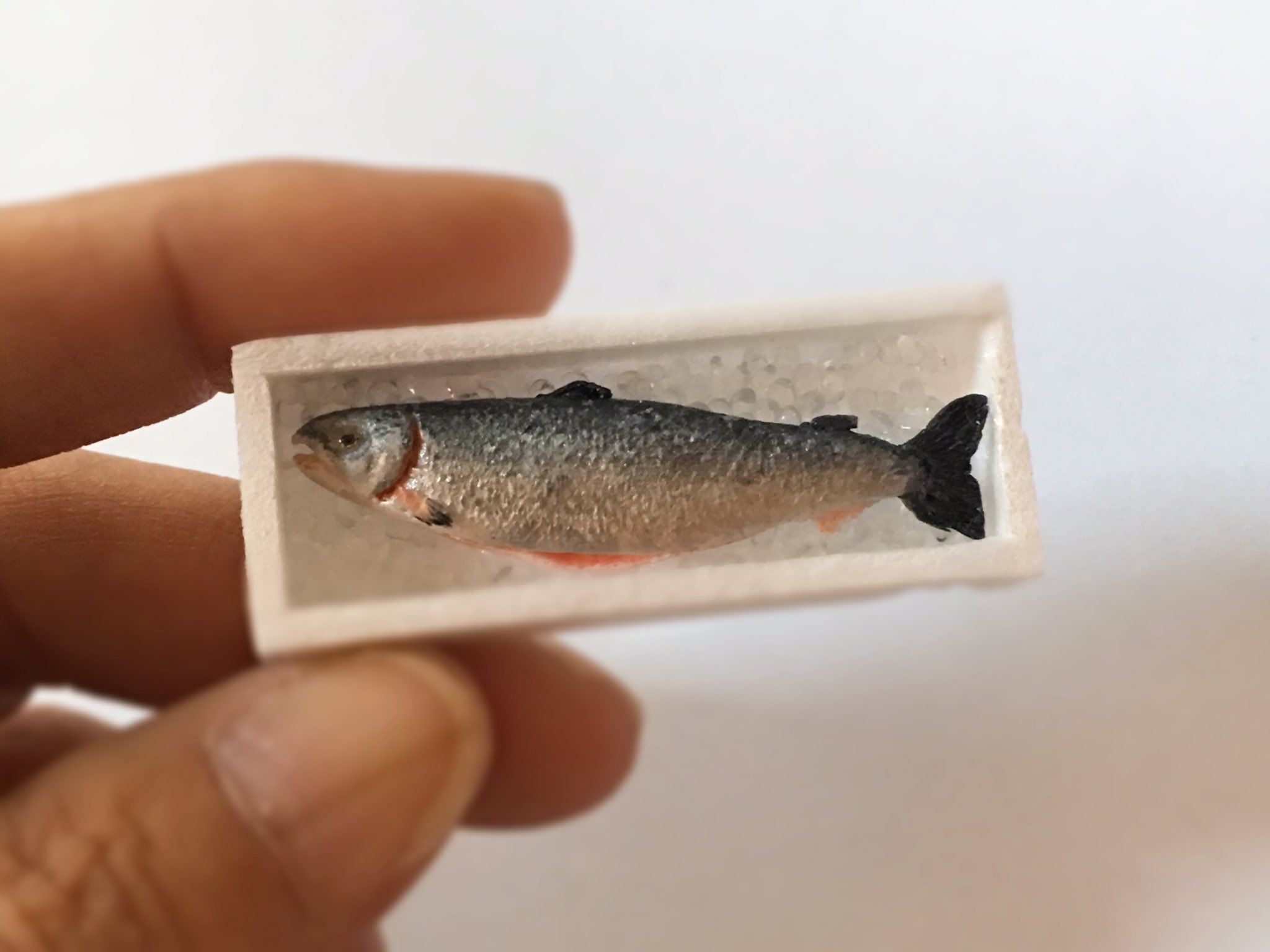 鮭児 Twitter Search Twitter